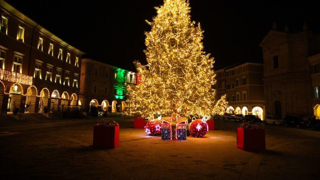 L’albero più bello a San Severino