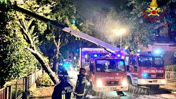 Allerta maltempo, albero si abbatte su una casa a Cesenatico