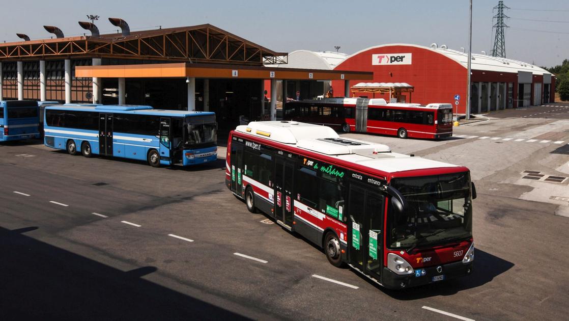 I bus del giorno di San Petronio a Bologna, gli orari