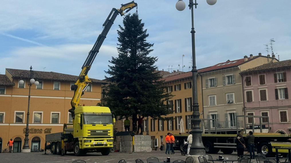 Arriva l’abete in piazza. Il Natale al decollo