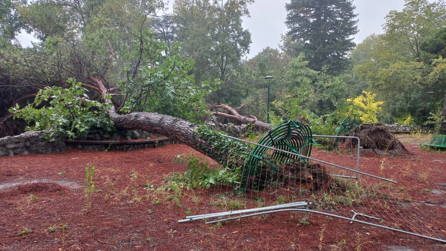 Alberi caduti ai Giardini Margherita