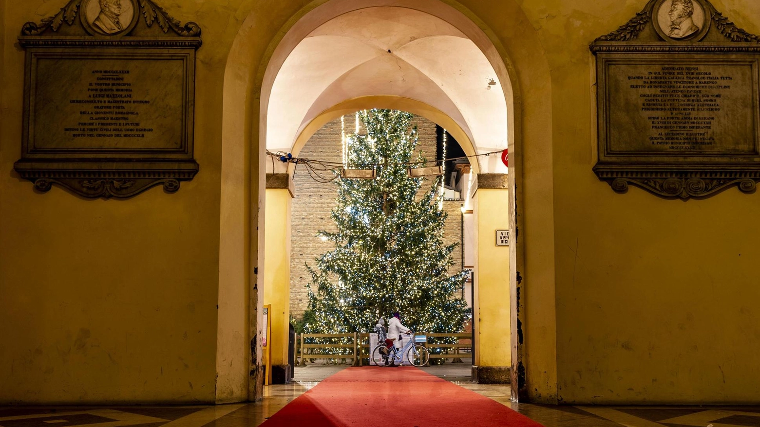 Arriverà lunedì in piazza Garibaldi l’albero di Natale