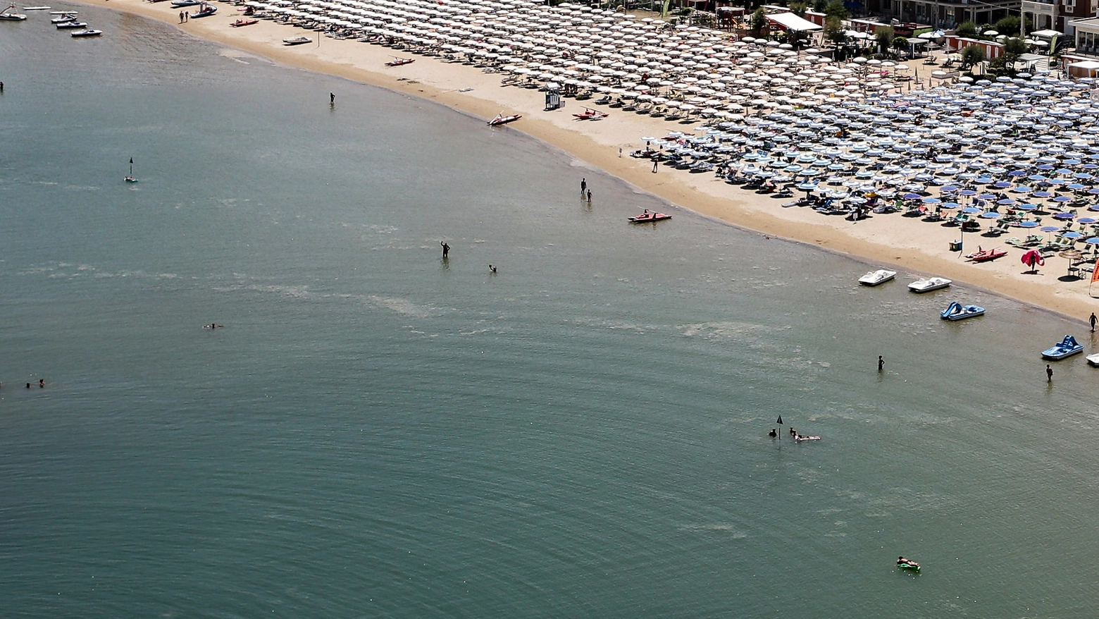 Mucillagini in mare a Rimini anche vicino alla costa: non ci sono rischi per la salute, ma c'è preoccupazione