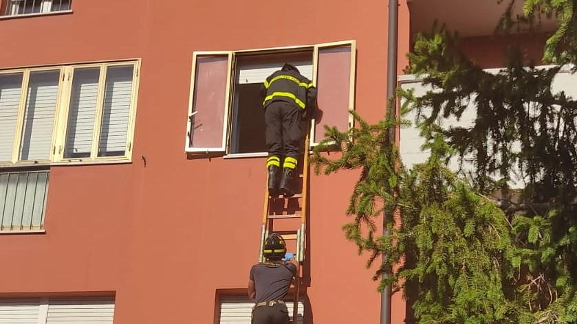 Intrappolata in casa dopo una caduta, un’anziana è stata raggiunta dai vigili del fuoco, entrati da una finestra, e...