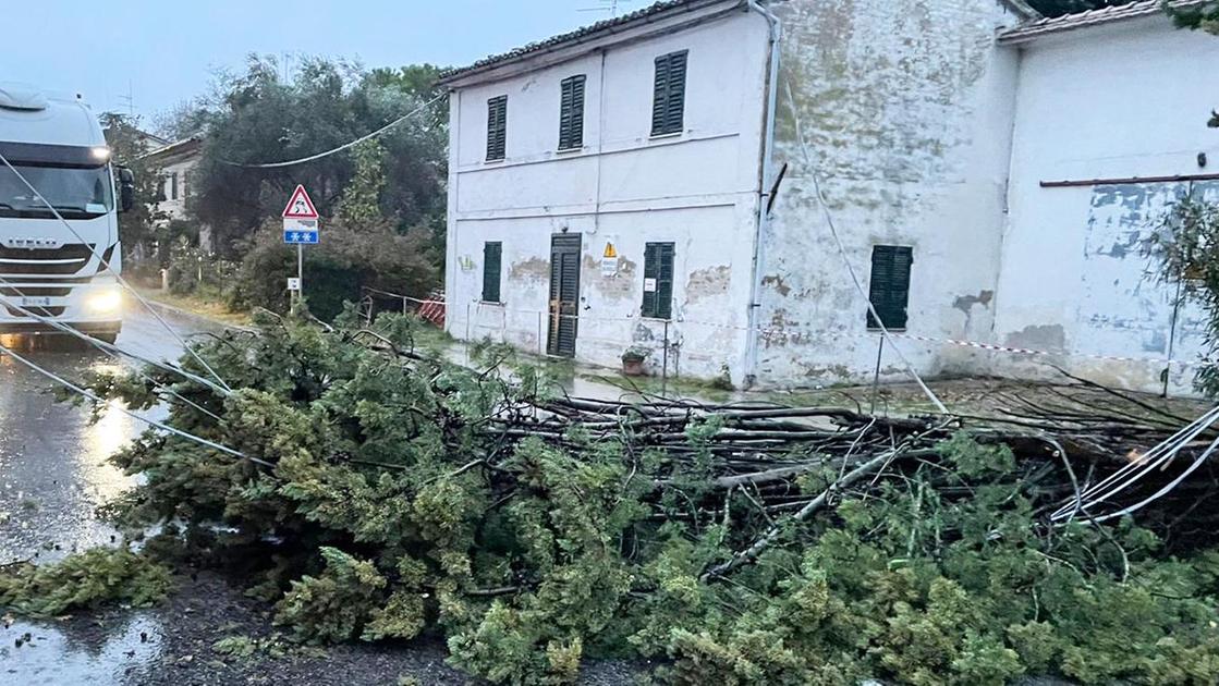 Strage di alberi e strade in tilt, allerta fiumi