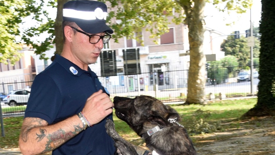 Polizia locale con il cane antidroga