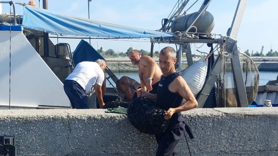 L’assessore Giacomo Costantini e Mauro Mambelli della Confcommercio Ravenna hanno incontrato i lavoratori del mare che si prodigano ogni giorno per raccoglierla.