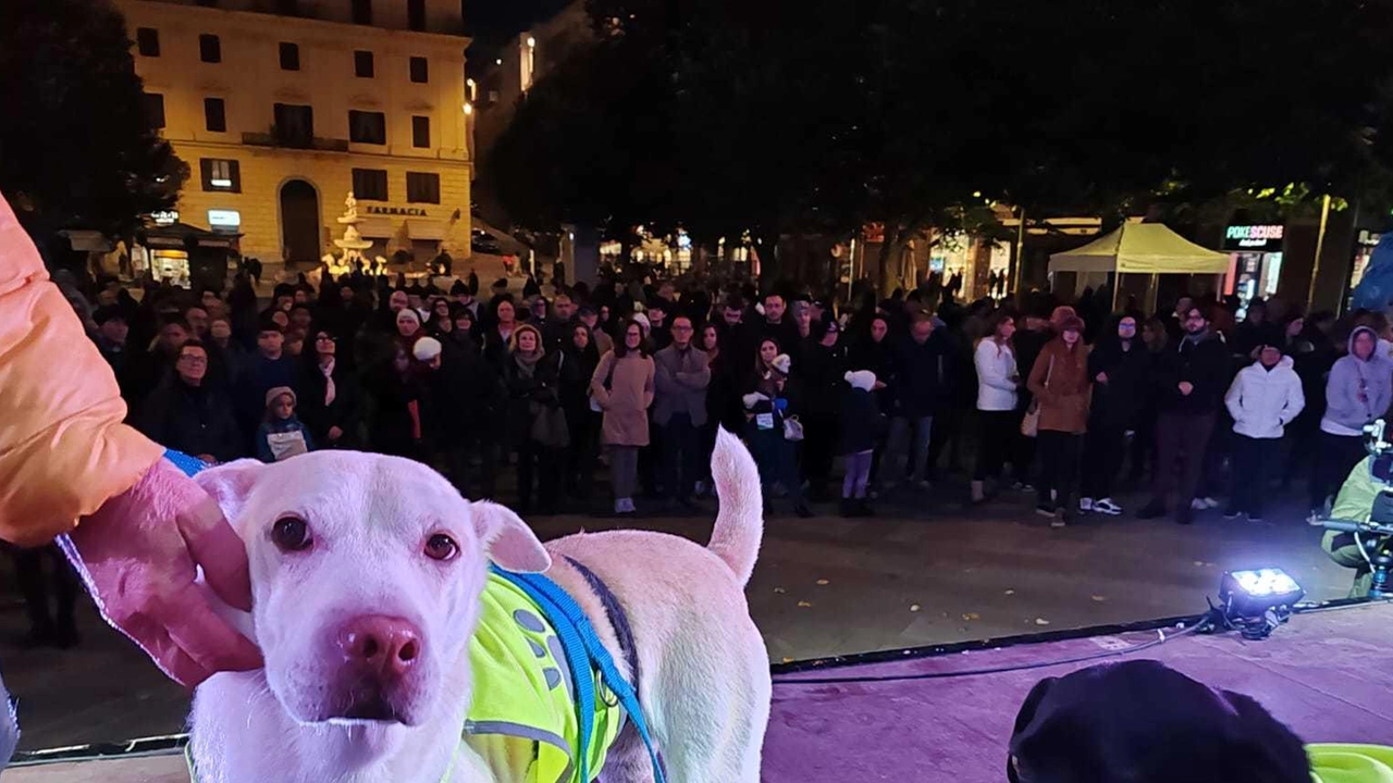 Piazza Roma gremita per la sfilata dei cani