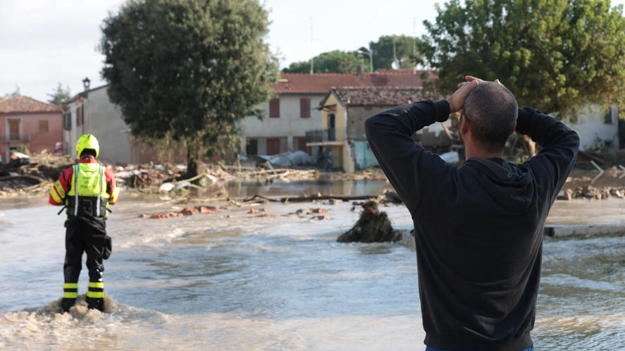 Non manca chi guarda com’era il paese e si dispera (Zani)