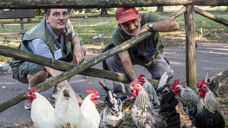 Da sinistra, il veterinario Fabio Dall’Osso e un volontario dell’associazione (foto Tedioli)