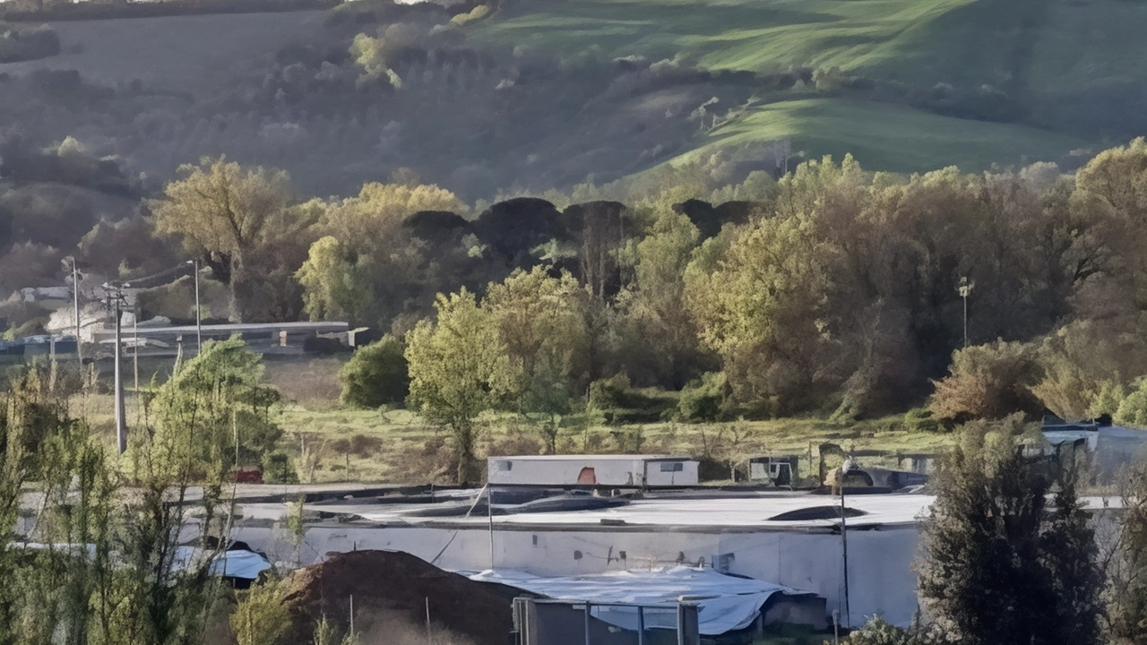 Il persistente problema di odori molesti provenienti dall'impianto a biomasse di Polverigi suscita l'indignazione dei cittadini, che chiedono interventi urgenti alle autorità locali. L'amministrazione comunale avvia un confronto con la gestione dell'impianto, ma la situazione rimane irrisolta a causa delle complessità legali.