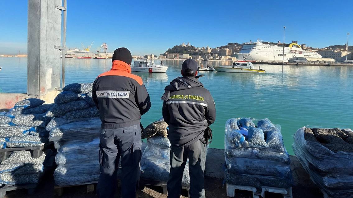 Vongole "senza tracciabilità", maxi sequestro e pioggia di multe