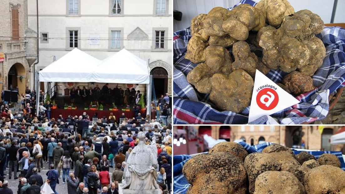 Ecco tutte le Sagre autunnali per gli amanti del tartufo nelle Marche