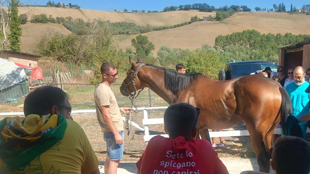 I professionisti dell’Ast presenti per scongiurare condizioni poco idonee per gli animali: ecco i nomi di questa attesa 43esima edizione.