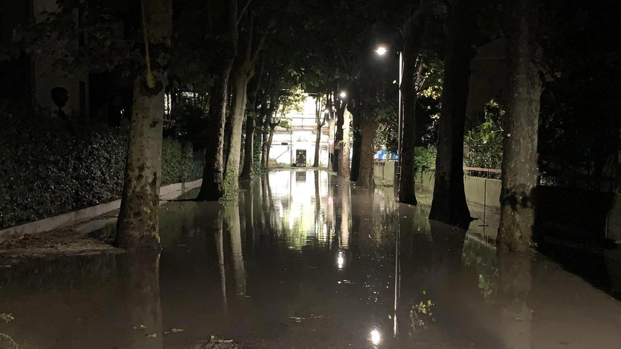 In viale della Repubblica un albero è crollato su un’abitazione: intervenuti i vigili del fuoco per rimuovere la pianta pericolosa. Lievi danni all’edificio.