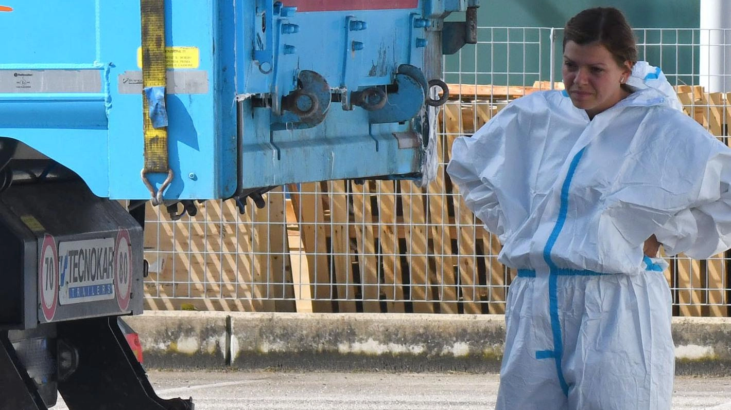 Peste suina, verifiche del Nas. Bonificato il parcheggio dei container