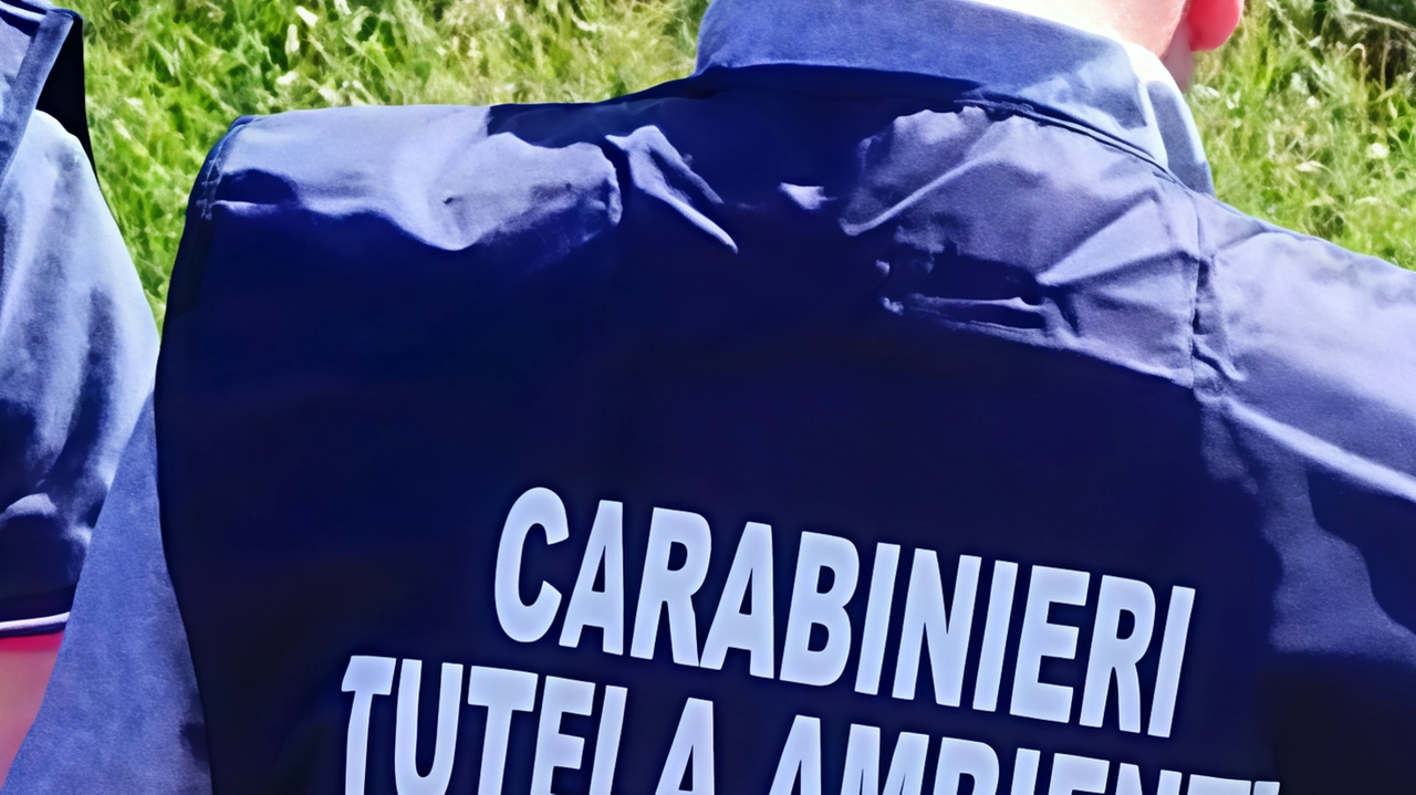 I carabinieri del Noe hanno trovato materiale pericoloso: il valore dei beni ammonta a 270mila euro.