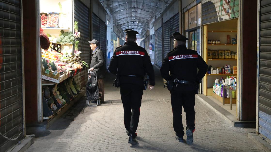 Hashish, marijuana e coca in casa a Bologna: nei guai diciottenne