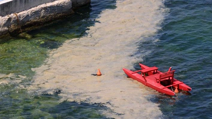 L’estate delle mucillagini: "Ma state tranquilli, fare il bagno in mare non è pericoloso"