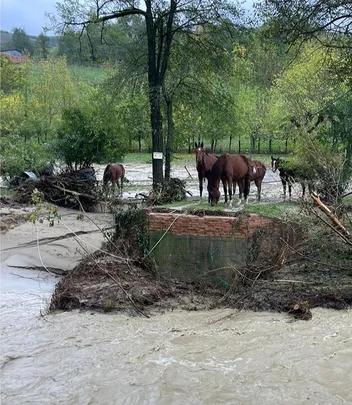 La storia della scuderia distrutta dall’alluvione: salvati sette cavalli, tre sono dispersi