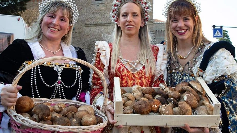 Sagra del Porcino, torna il mercato: "Quattro giorni di grande festa con arrivi da tutta la regione"