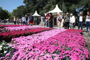 Bologna in Fiore e Giardini & Terrazzi, i due appuntamenti imperdibili in città: ecco quando