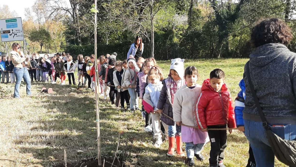 Dieci alberi piantati dai bambini