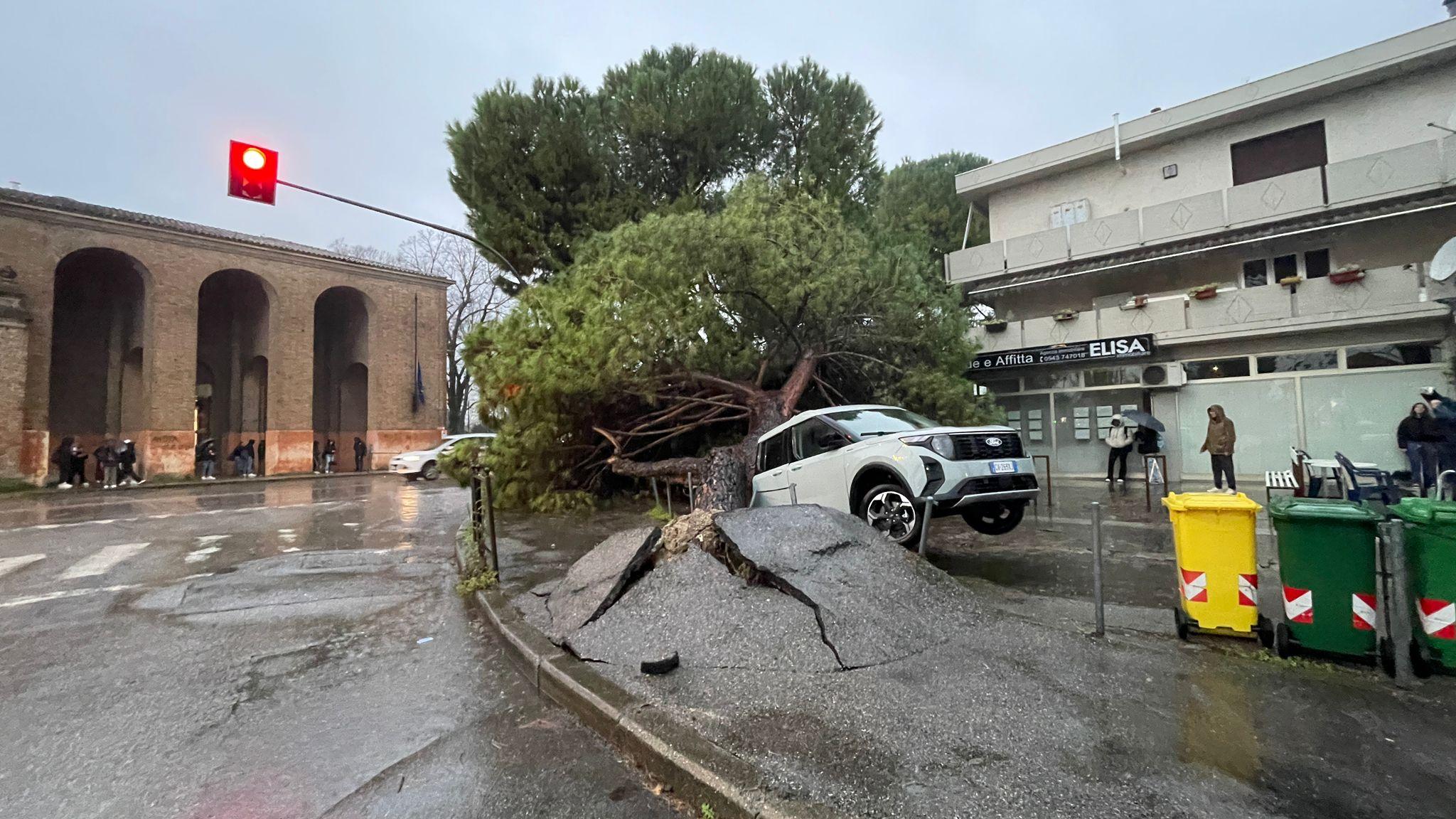 Maltempo, pino si abbatte su due auto in sosta a Forlimpopoli