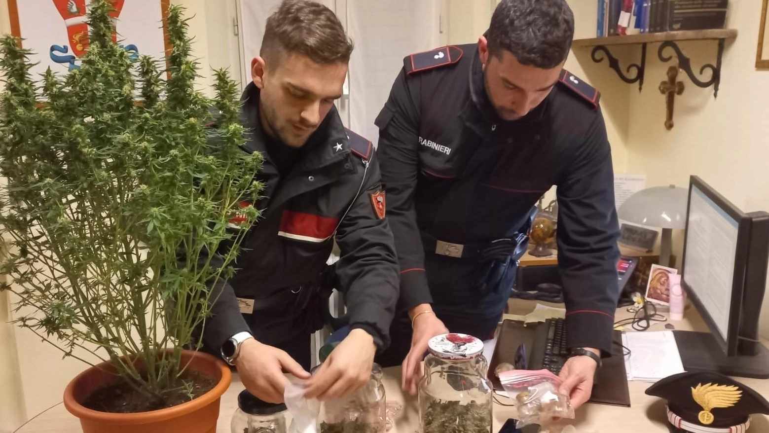 Una serra di marijuana in camera da letto, il sequestro dei carabinieri