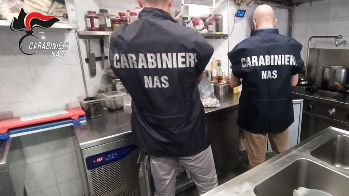 Insetti morti e scaffali arrugginiti in un ristorante etnico di Parma