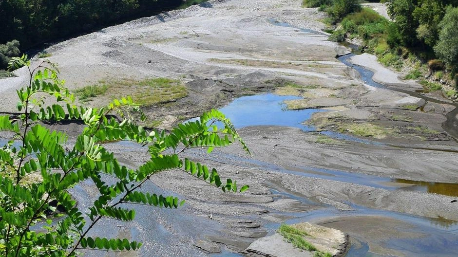 Circuiti, percorsi e zone relax: "Qui sorgerà il Parco della Luna"