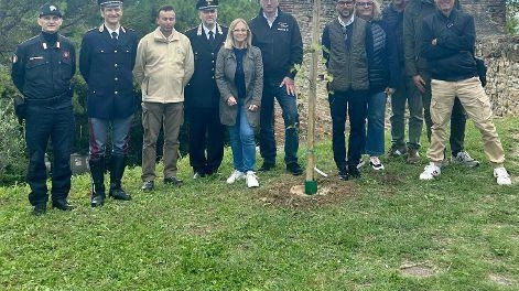 Piantumazione di un albero a Casteldimezzo: il Comune promette di riqualificare il borgo