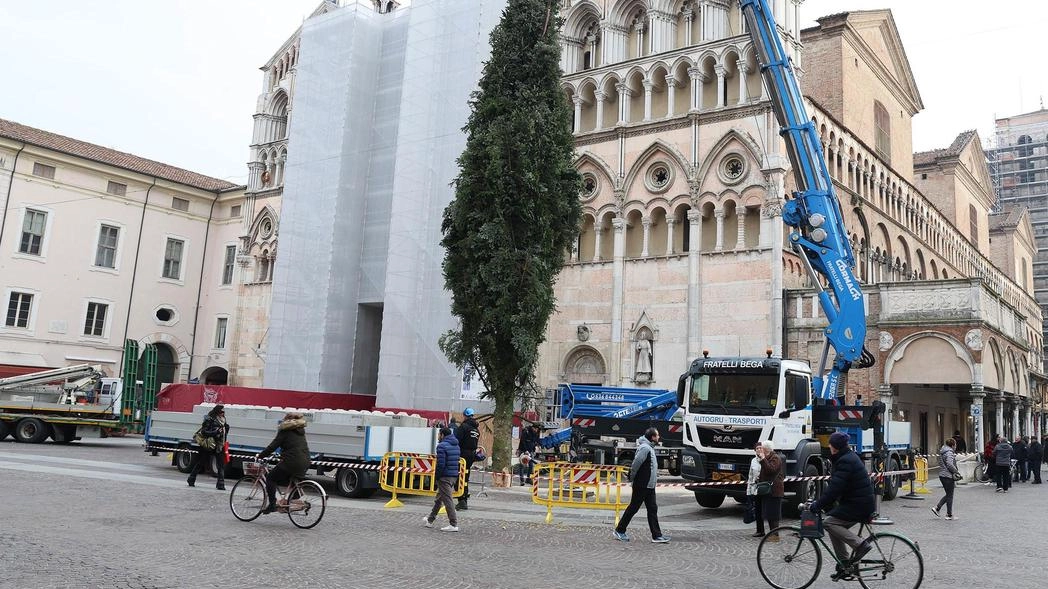 L’arrivo davanti al duomo dell’albero di Natale. che sarà acceso domenica 8, mentre domani luce ai 130 chilometri circa di luminarie già installate (Foto Bp)