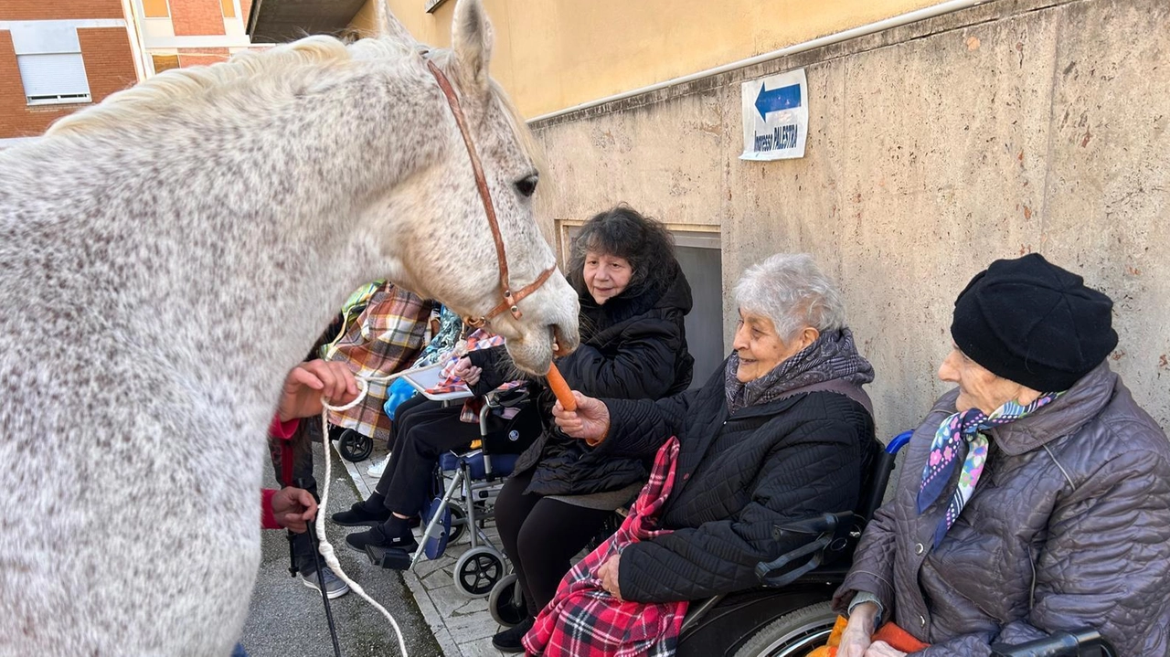 Il dolce cavallo Zaff e la visita dedicata a bambini e anziani