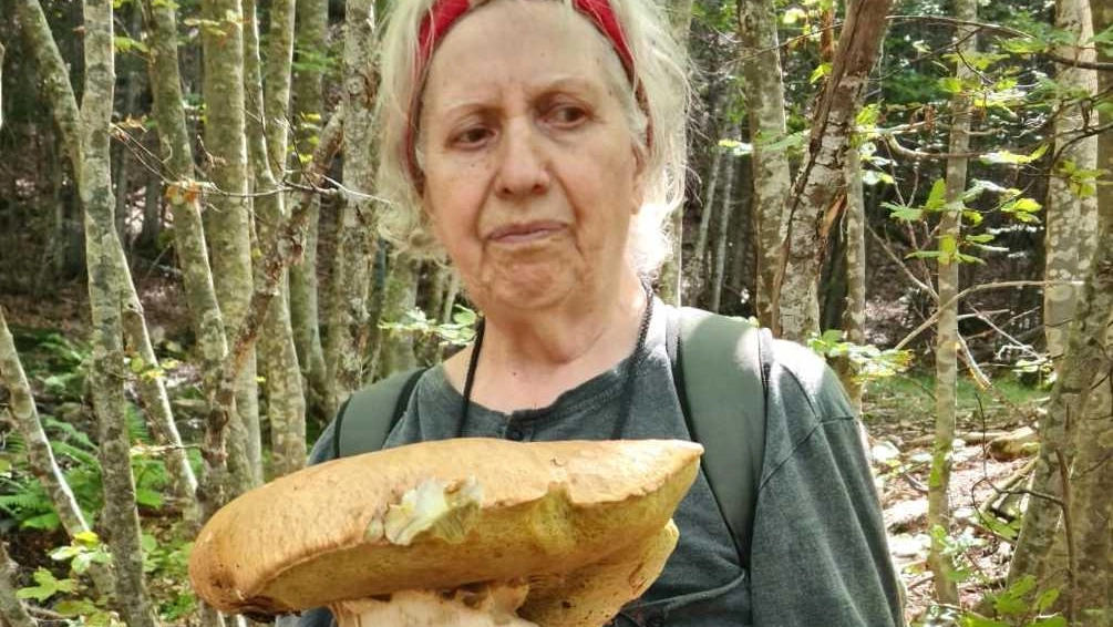 Maddalena Scagnelli, 77 anni, ha trovato il super porcino vicino alle Tagliole di Pievepelago, sull’Appennino modenese
