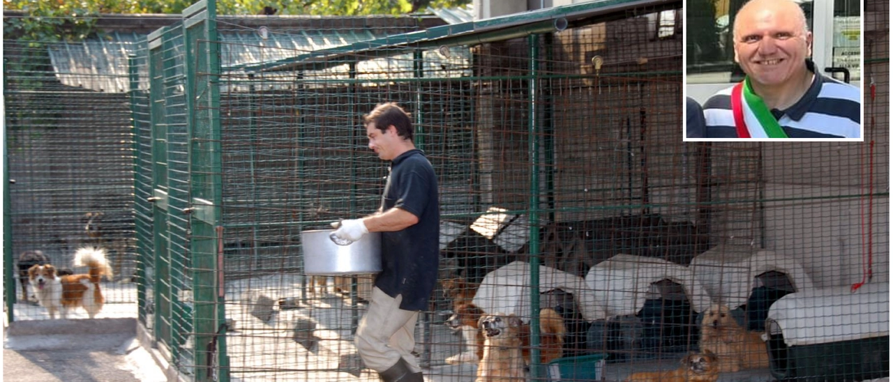 Maxi multa per chi rinuncia al cane, il sindaco: “Nessun dietrofront”