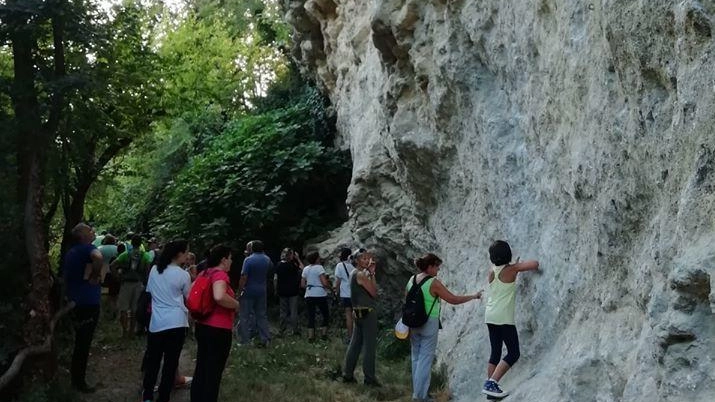 Domani alle 14,45 passeggiata con aperitivo finale.