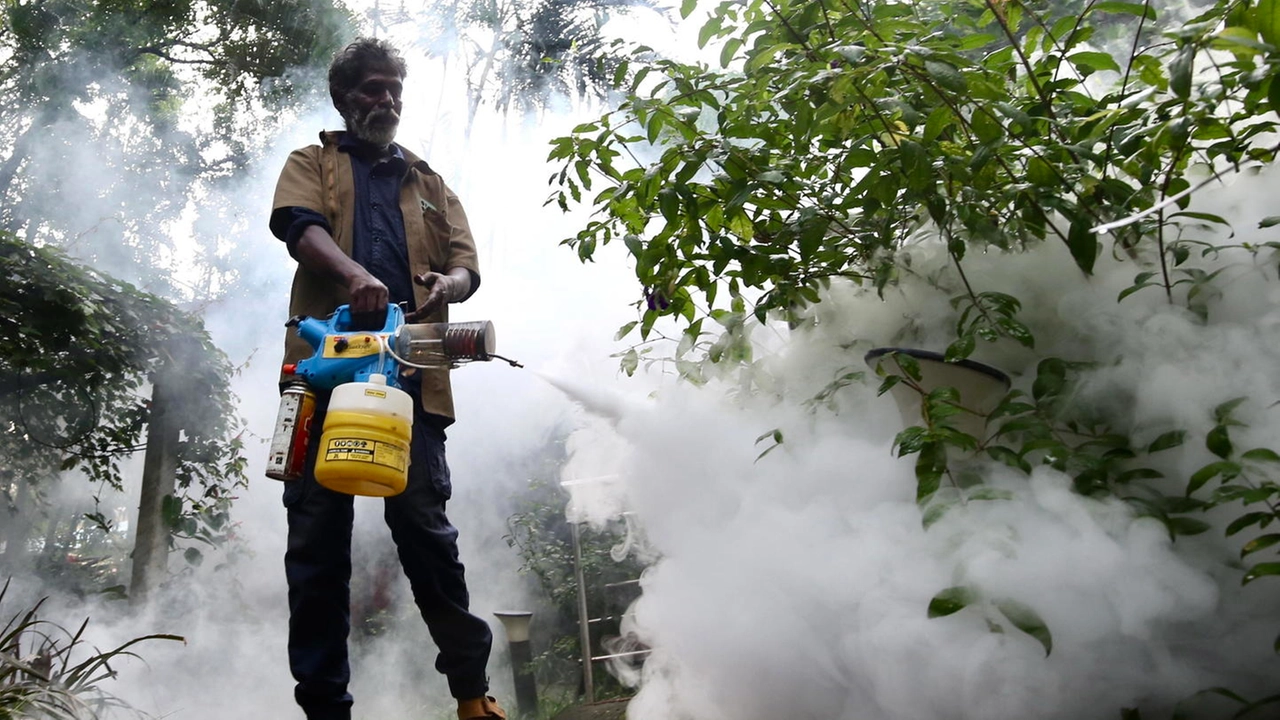 West Nile: un altro ricovero a Imola. Si tratta di un 91enne