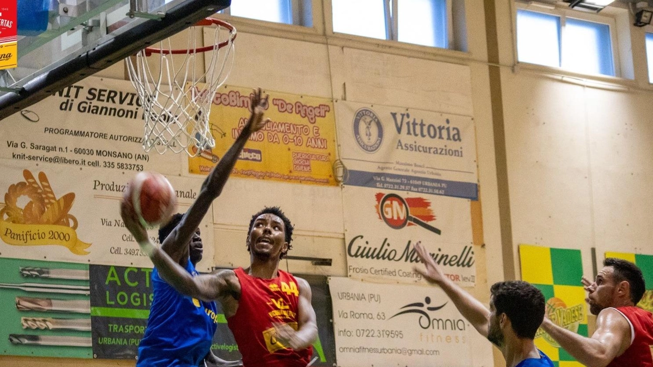 La squadra ieri in trasferta a Sant’Angelo in Vado contro Fidenza dove ha sfiorato i cento punti: buon test per coach Sacripanti