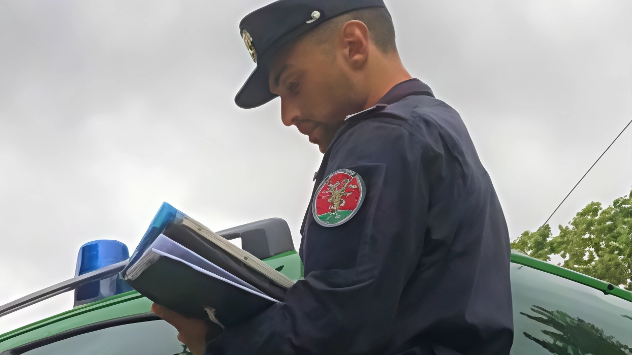 Postina azzannata al volto da un cane