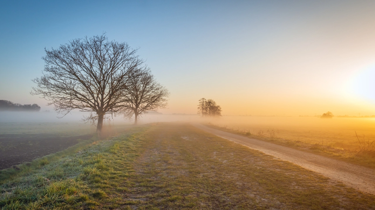 Banchi di nebbia anche in primavera sull'Emilia Romagna