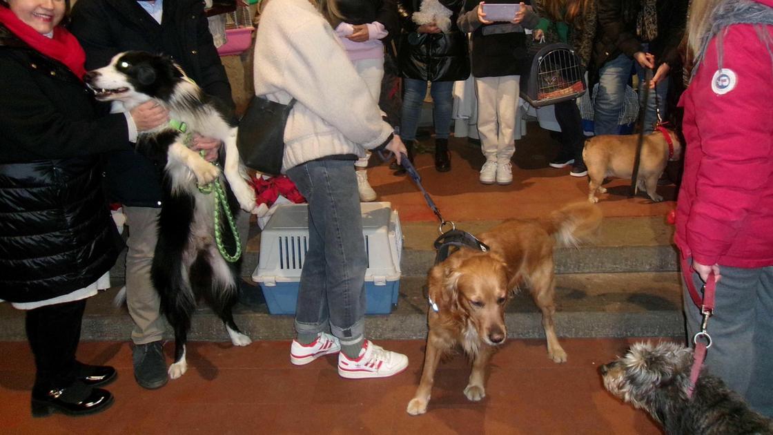 Sant’Antonio: a messa con cani, gatti e canarini