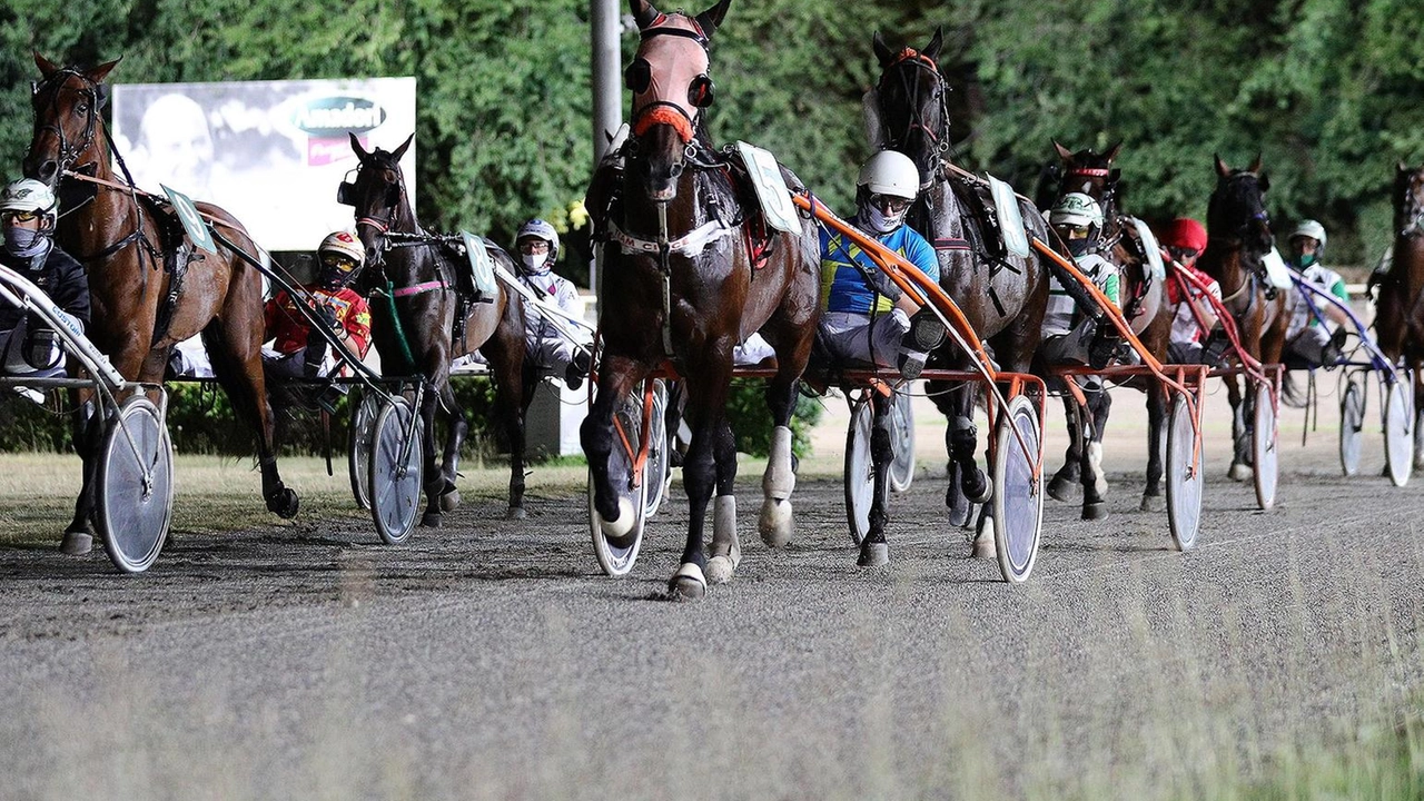 I cavalli in pista al Savio