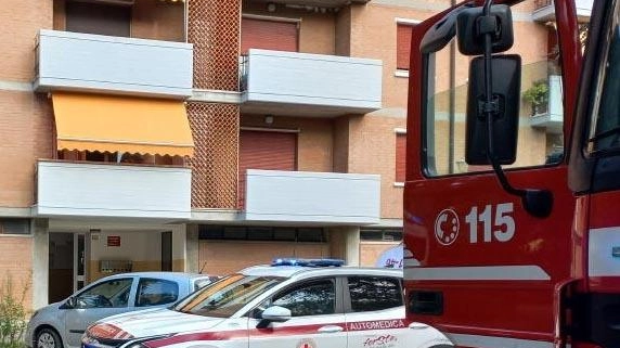 Vicini di casa salvano pensionata ultraottantenne caduta in casa a Guastalla, evitando un dramma. Soccorsi tempestivi la portano in ospedale per cure urgenti.