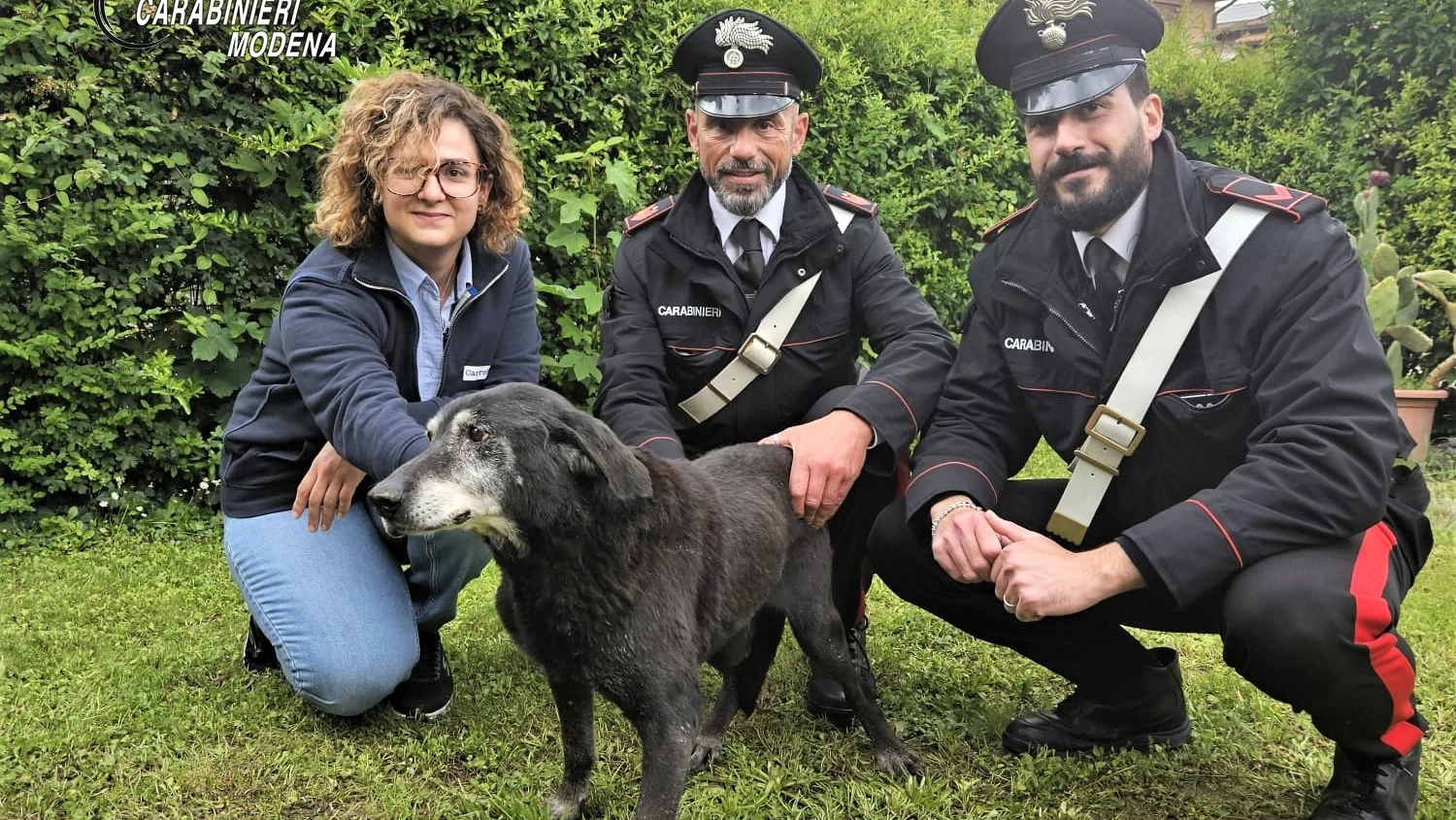 Il cane salvato dai carabinieri di Savignano