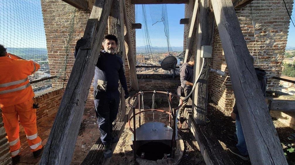 Diminuire i piccioni in centro: via allo studio dei falchi pellegrini