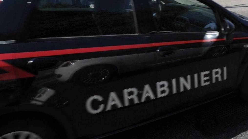 A Montemarciano, una giovane ubriaca ha aggredito un barista che le ha negato da bere. Fuggita prima dell'arrivo dei carabinieri, è stata identificata grazie all'identikit.