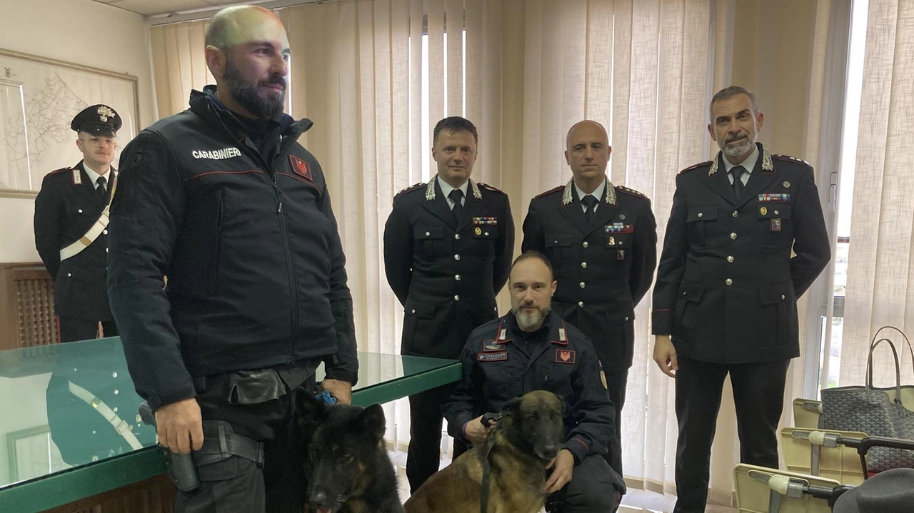 I carabinieri hanno stroncato un giro d’affari milionario: nella banda la moglie, la figlia, il nipote e il genero .