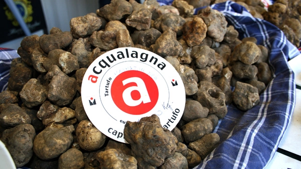 Il famoso Tartufo di Acqualagna