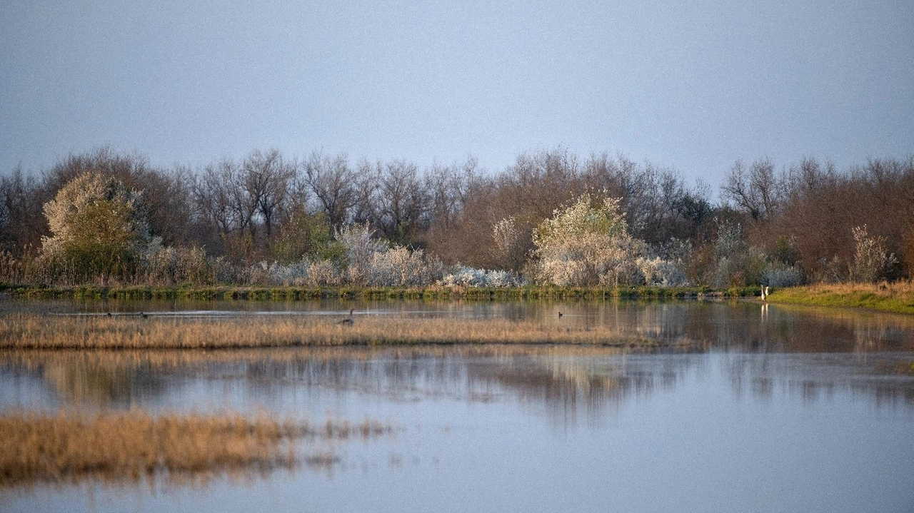 Si amplia la rete dei siti ’Natura 2000’. In quest’area saranno attuati controlli più specifici per difendere l’ambiente e la fauna presente